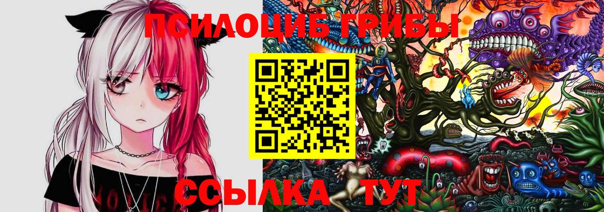 Псилоцибиновые грибы Psilocybe  где продают наркотики  Тосно  Вход с VPN 
